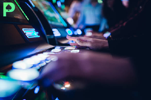 pino casino